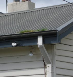 gutter